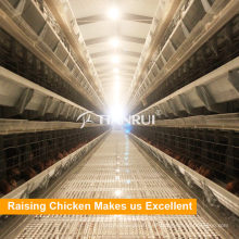 China fabrica jaulas de aves de corral automáticas de venta directa para pollo con huevo